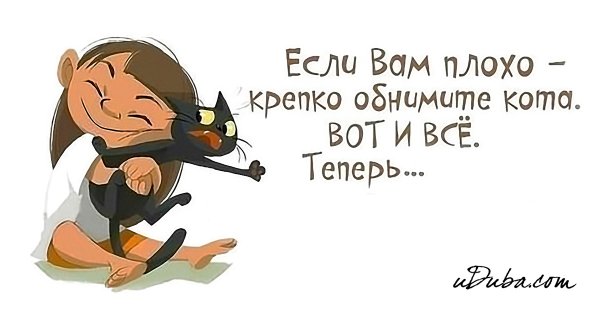 Если вам плохо крепко обнимите кота