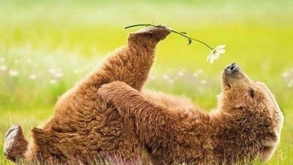 Приколы в картинках про жизнь