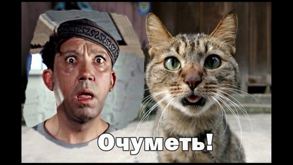 Очуметь картинка