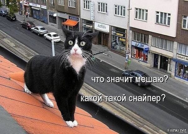 Прикольные картинки охренеть