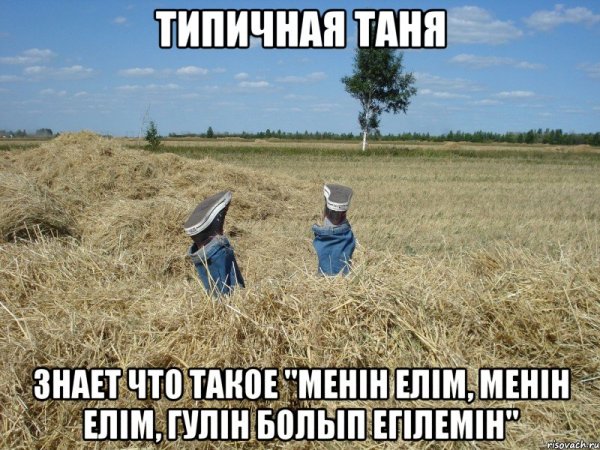 Шутки про таньку