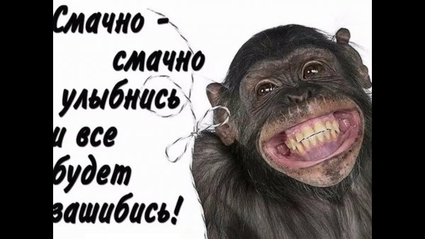 Улыбайся прикол