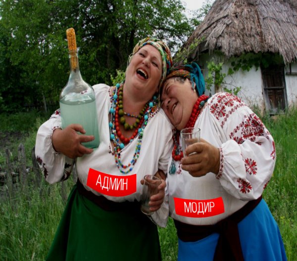 День кума