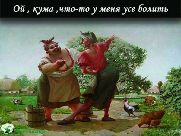 Фото для кумы прикольные