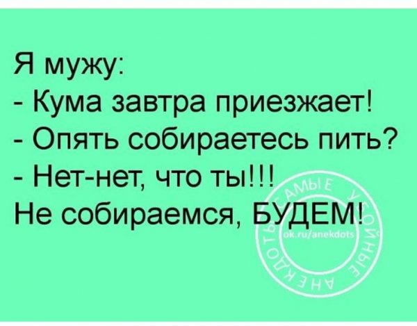 Шутки про куму