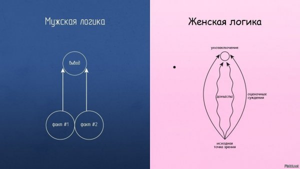 Шутки про мужскую логику
