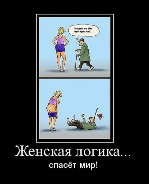 Женская логика