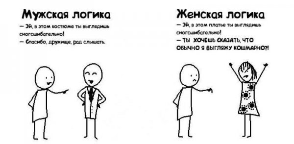 Афоризмы про мужскую логику