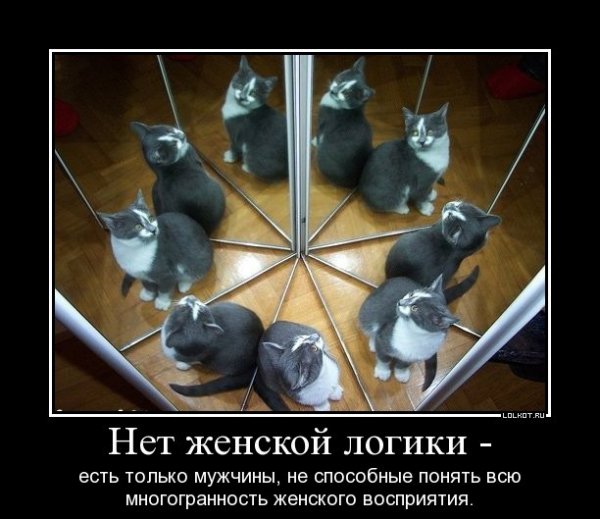 Шутки про мужскую логику
