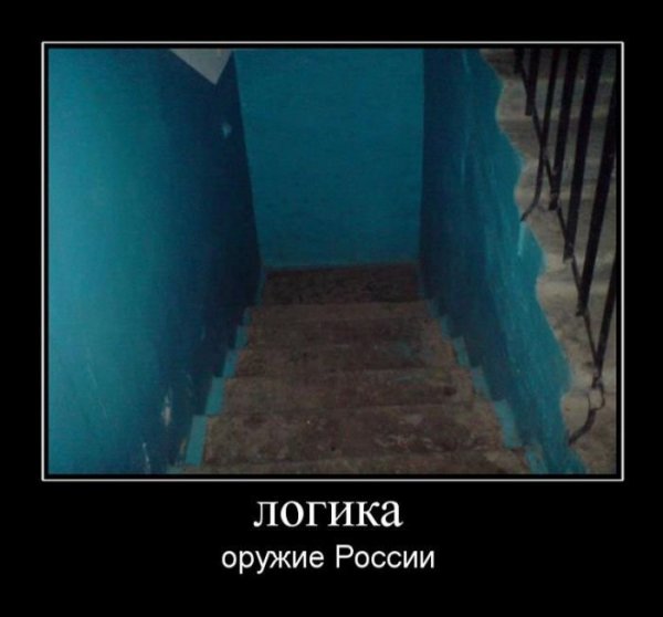 Женская логика