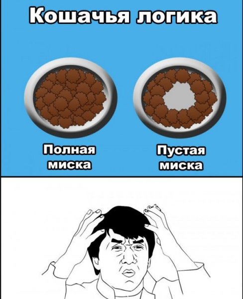 Шутки про мужскую логику