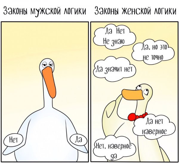 Женскаяи мужская лргика