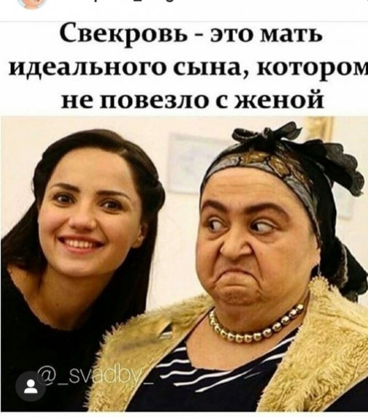 Приколы про свекровь