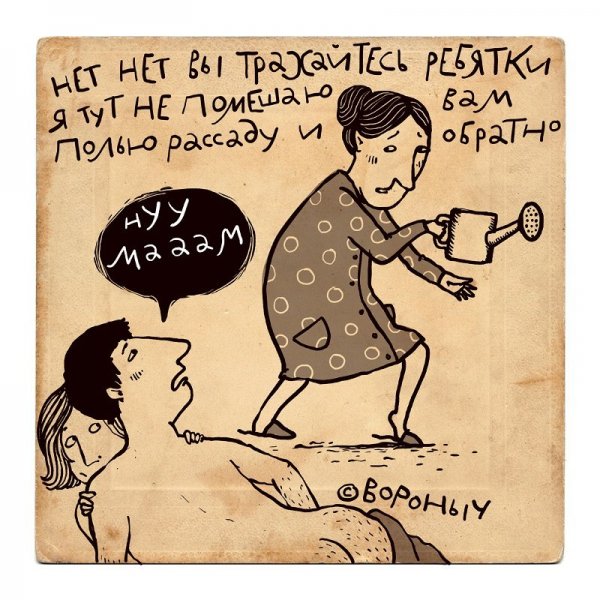 Свекровь и невестка приколы