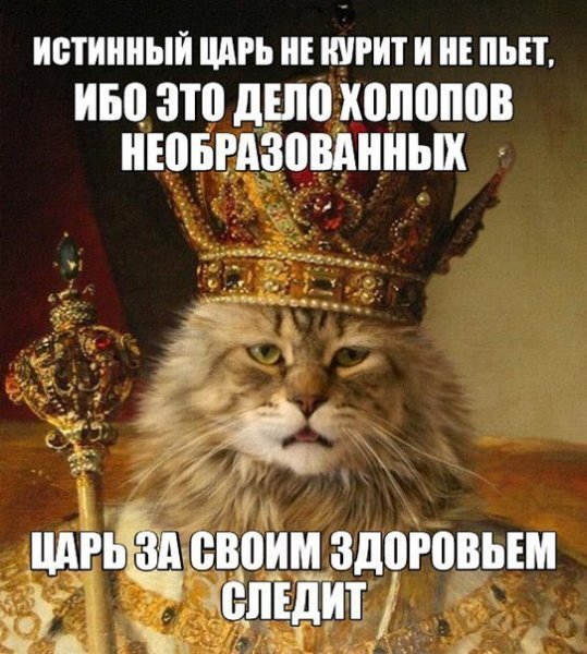 Приколы про царя и холопа
