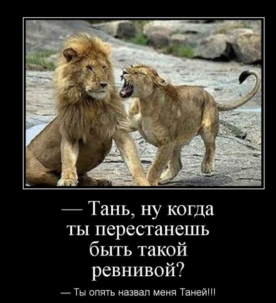 Смешные цитаты про Льва