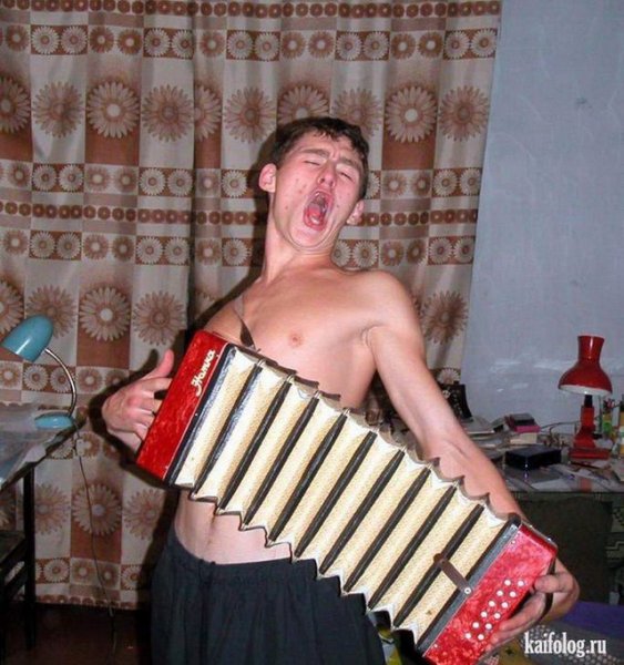 Баянист прикол