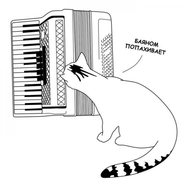 Кот с аккордеоном