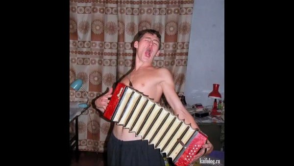 Хоронили тещу порвали два баяна