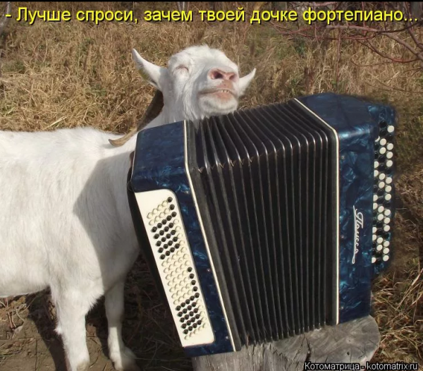 Козел с баяном