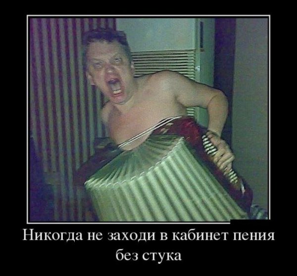 Баян демотиватор