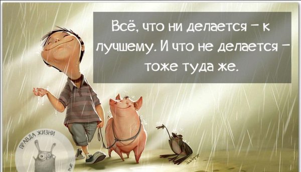 Оптимизм цитаты и афоризмы