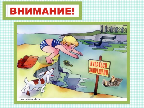 Картинки по безопасности жизнедеятельности