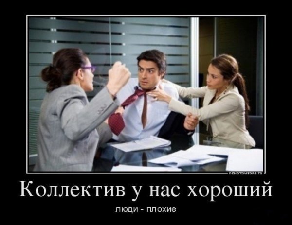 Приколы про коллектив