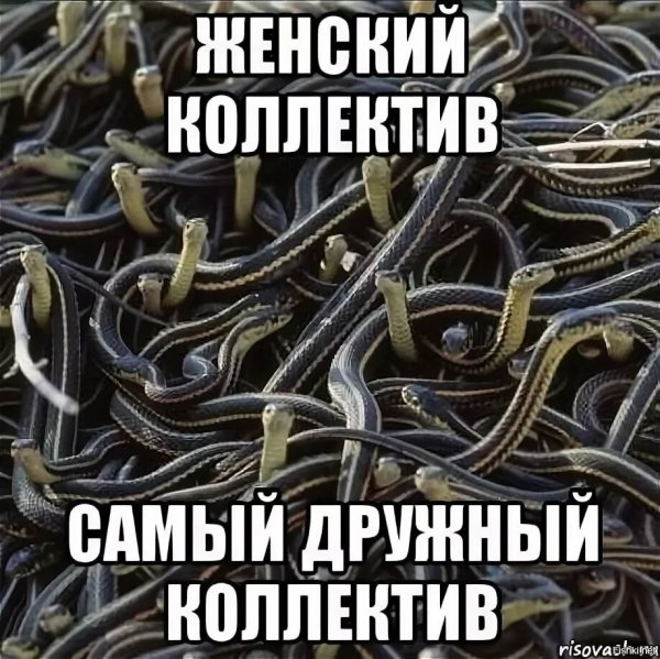 Змеиное Логово дружный женский коллектив