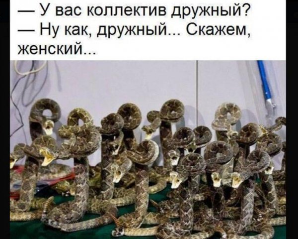 Женский коллектив