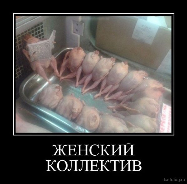 Женский коллектив прикол