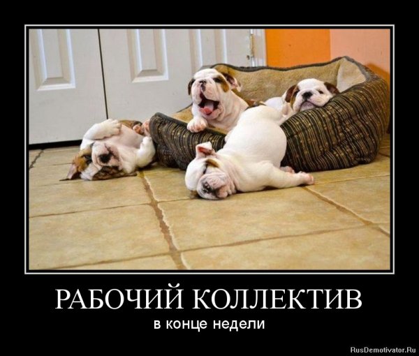 Рабочий коллектив в конце недели