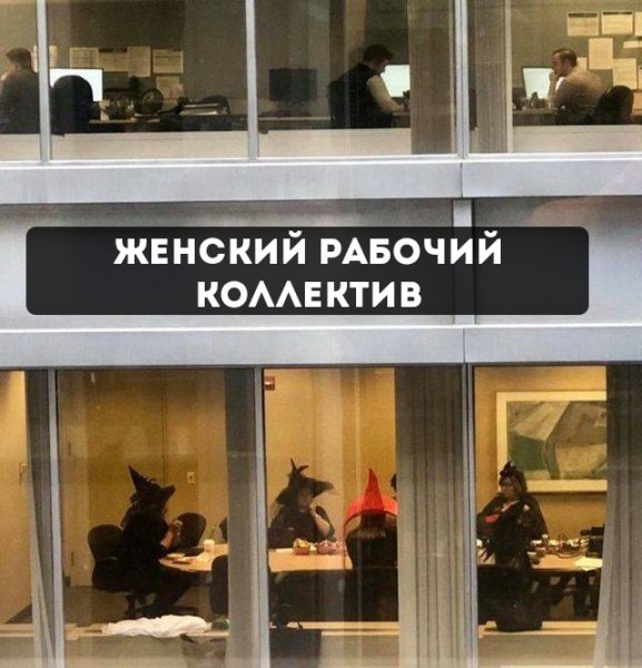 Женский коллектив прикол