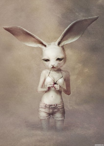 Художник Ryohei Hase кролик