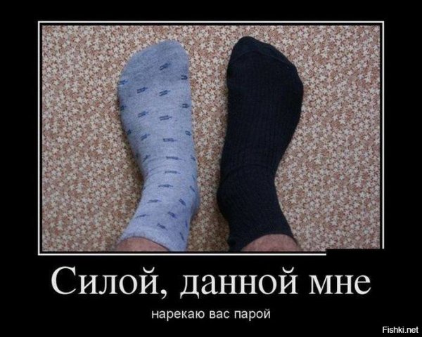 Шутки про носки
