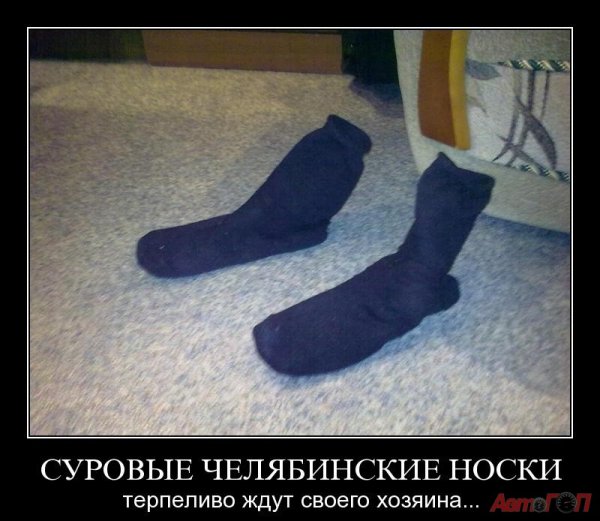 Мужские носки юмор