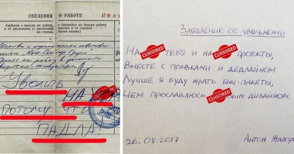 Прикольные записи в трудовой