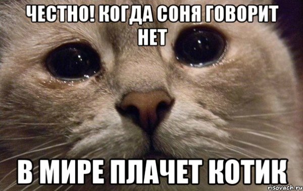 Стихи про Соню смешные