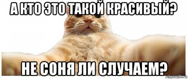 Соня Мем