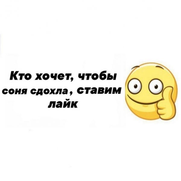 Шутки про Соню