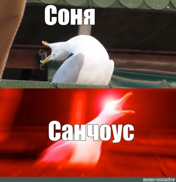 Шутки про Соню смешные
