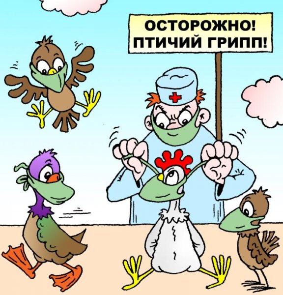 Осторожно птичий грипп