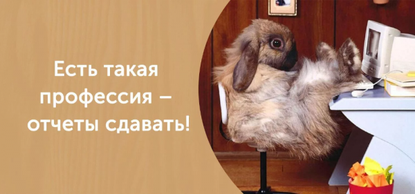 Приколы про отчеты на работе