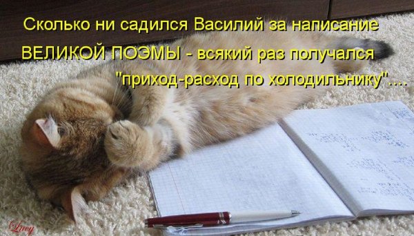 Не хочу учиться а хочу
