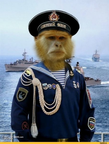 Капитан и Боцман