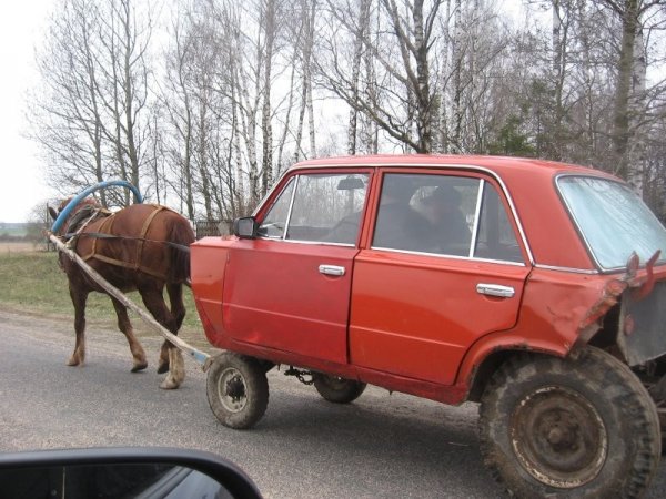 Лада конина