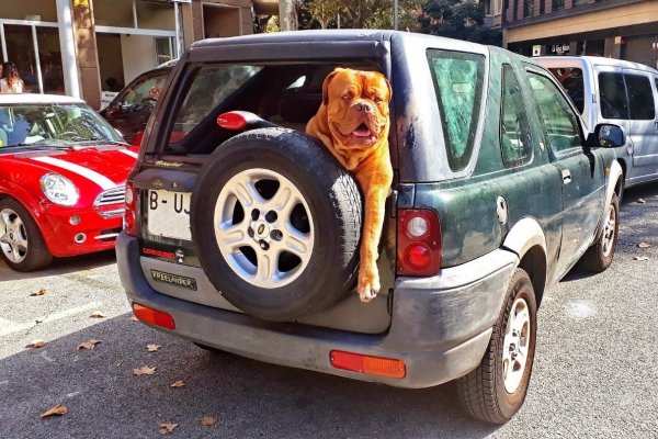 Автомобильный юмор