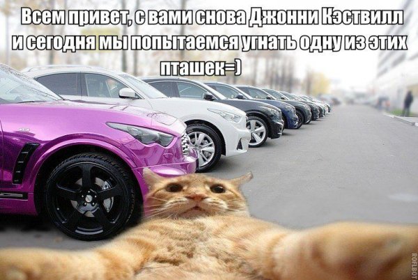 Авто юмор