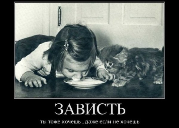 Зависть смешные картинки