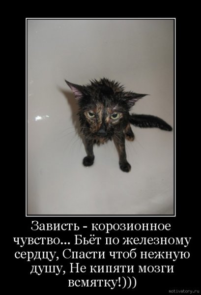 Зависть демотиватор